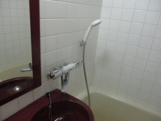 �摜(320x240)�E�g��摜(384x288)