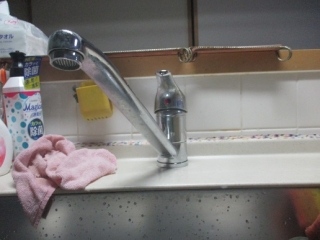 �摜(320x240)�E�g��摜(516x387)