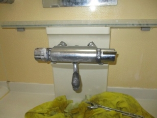 �摜(320x240)�E�g��摜(384x288)