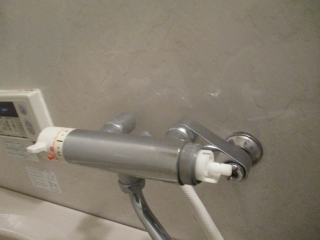 �摜(320x240)�E�g��摜(516x387)