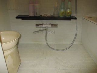 �摜(320x239)�E�g��摜(515x386)