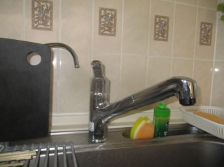 �摜(320x239)�E�g��摜(515x386)