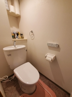 �摜(239x320)�E�g��摜(494x660)