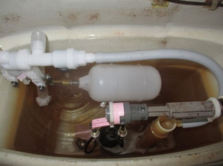 �摜(320x239)�E�g��摜(515x386)