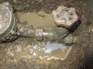 �摜(320x239)�E�g��摜(515x386)