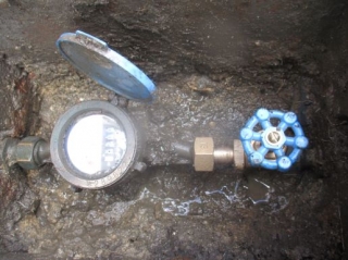 �摜(320x239)�E�g��摜(515x386)