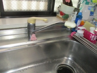 �摜(320x240)�E�g��摜(384x288)