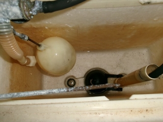 �摜(320x240)�E�g��摜(460x345)