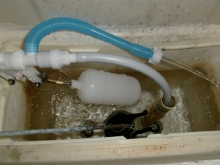 �摜(320x240)�E�g��摜(460x345)