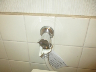 �摜(320x239)�E�g��摜(515x386)