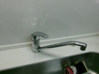 �摜(320x240)�E�g��摜(460x345)