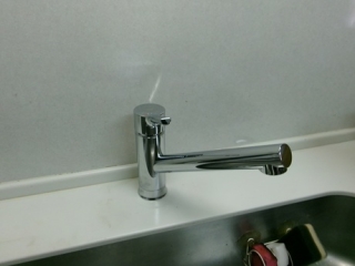 �摜(320x240)�E�g��摜(460x345)