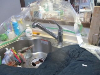 �摜(320x240)�E�g��摜(512x384)